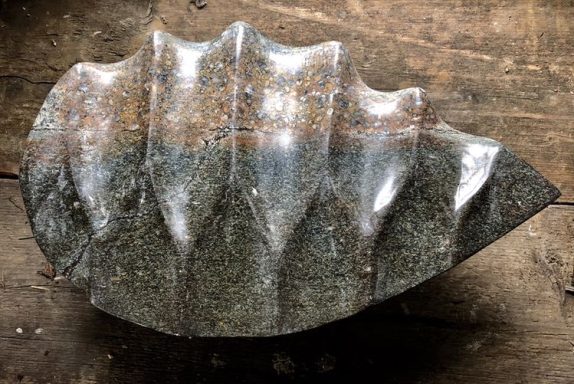 Bivalve Leaf